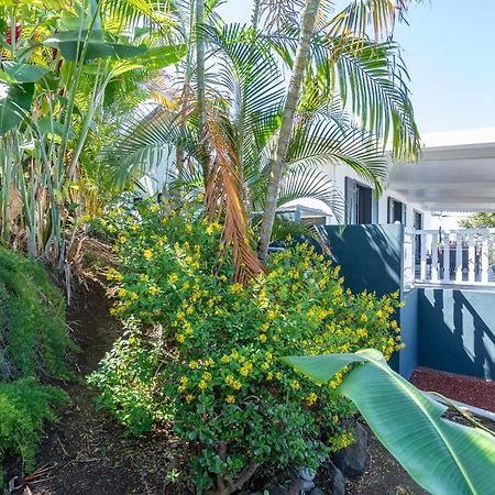 Villa Leu Seaview Saint-Leu Dış mekan fotoğraf